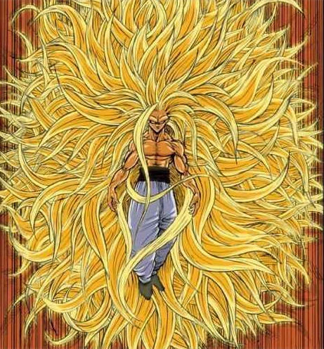 Goku ssj 999